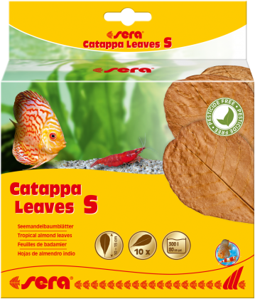 sera Catappa Leaves S / 10 Stück